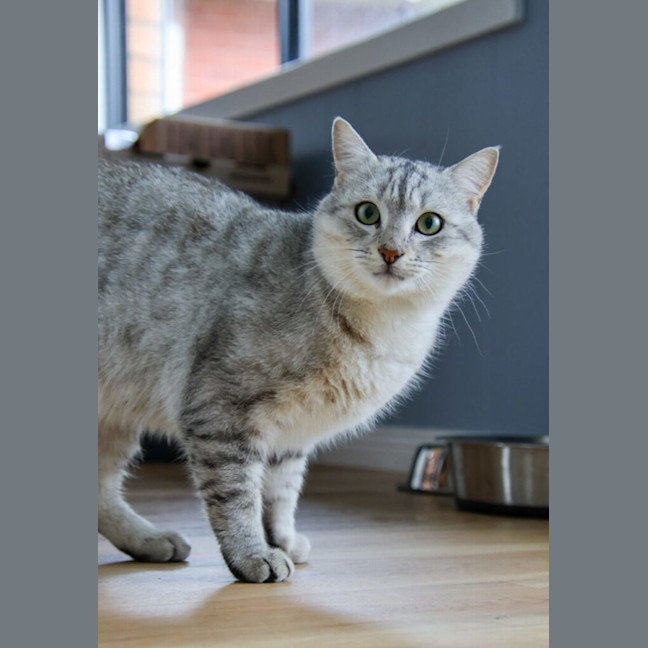 Photo of Boden