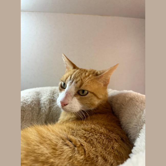 Photo of Bruce