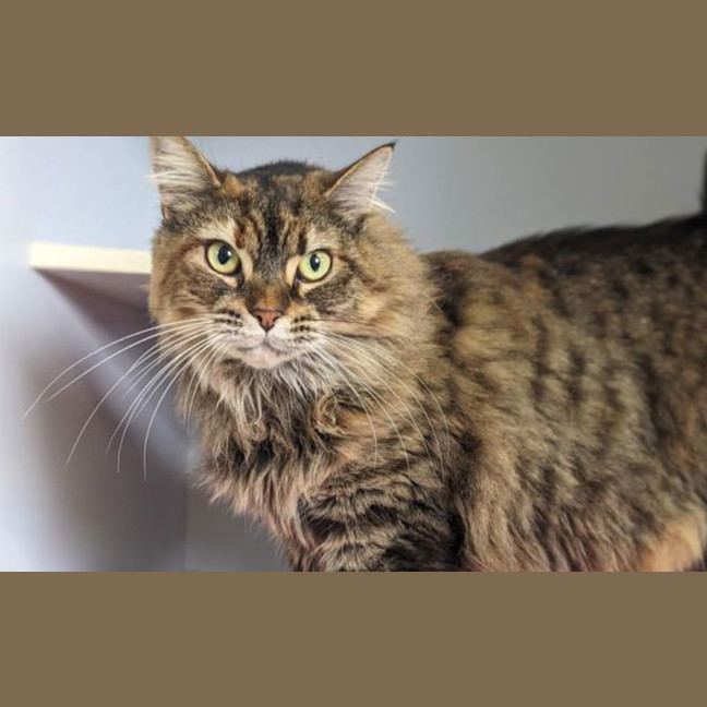 Photo of Lady Bernice