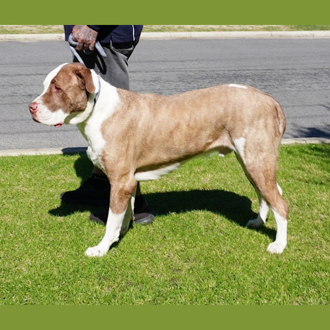 Photo of Tex