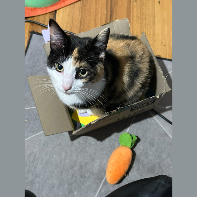 Photo of Maya & Morgan🌻🌼