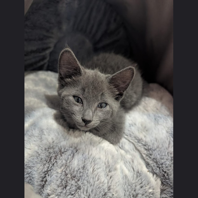 Photo of Alaya