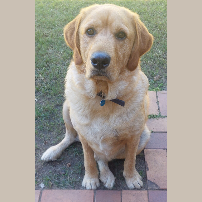 Photo of George
