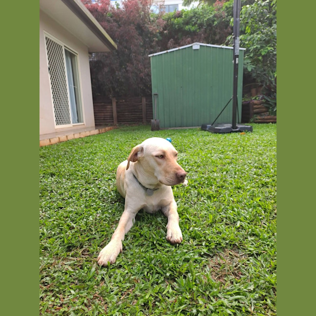 Photo of Bingo
