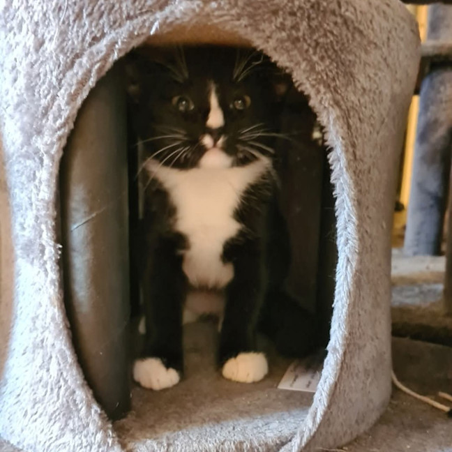 Photo of Mollie