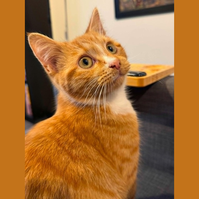 Photo of Ronald