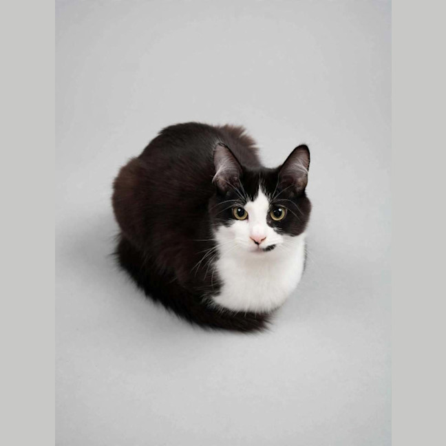 Photo of Bonnie
