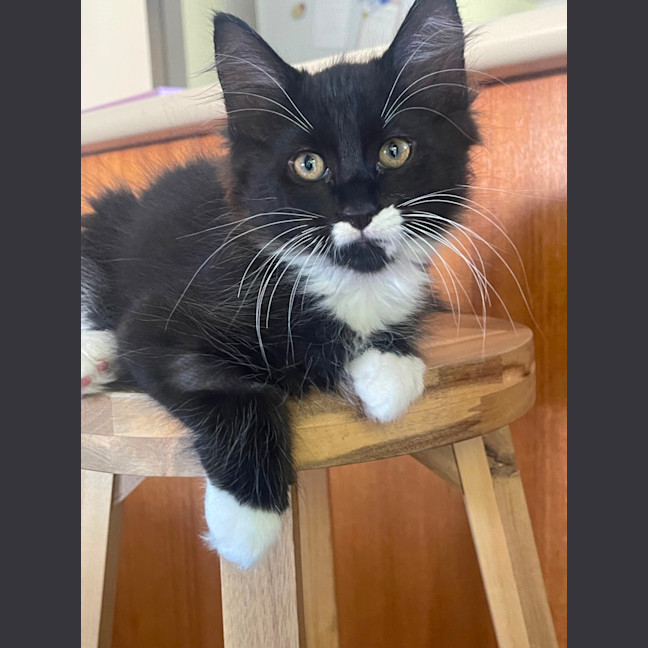 Photo of Mo