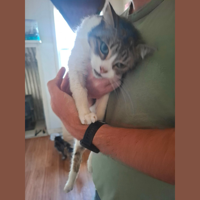Photo of Squeak