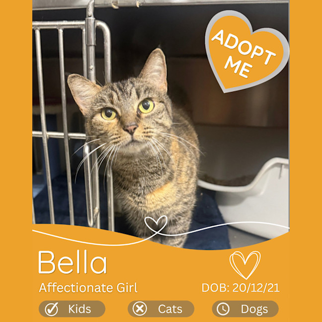 Photo of Bella