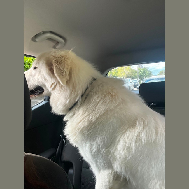 Photo of Lucy