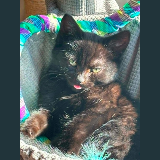 Photo of Billie Buttons