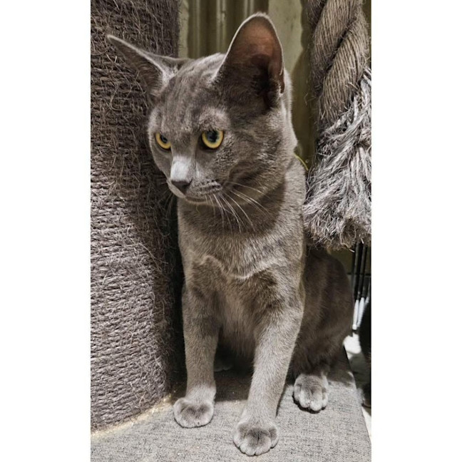 Photo of 12191   Luigi