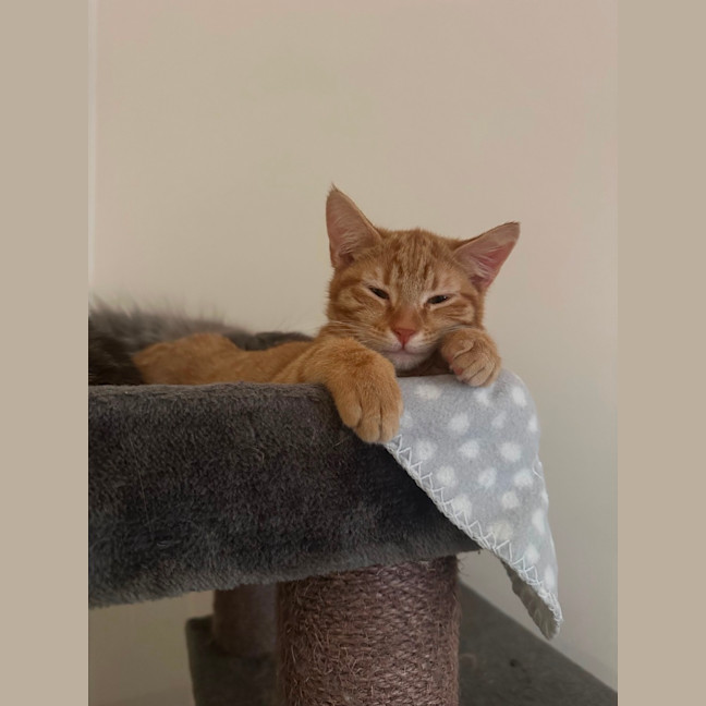 Photo of Edward