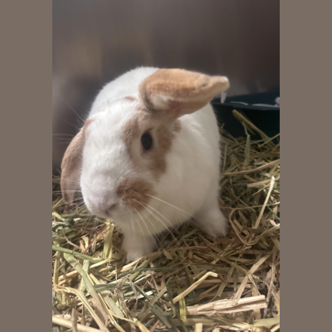 Photo of Lou Lou