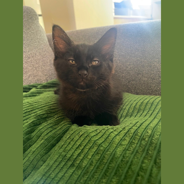 Photo of Storm