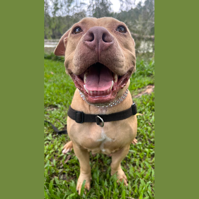 Photo of Matilda