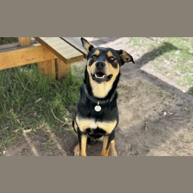 Photo of Benny