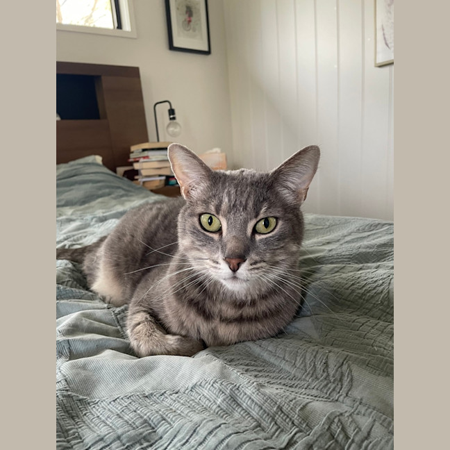 Photo of Bosley