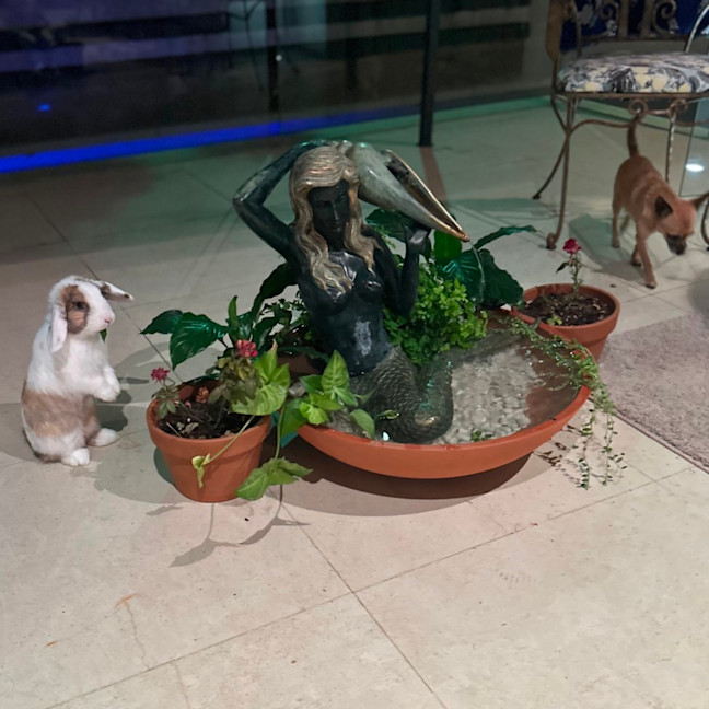 Photo of Prince Harry