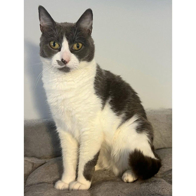 Photo of 5196   Daisy Doo