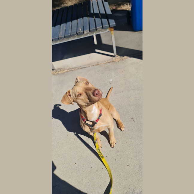 Photo of Ransom