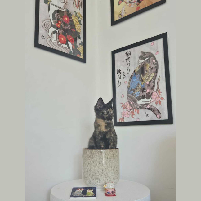 Photo of Millie