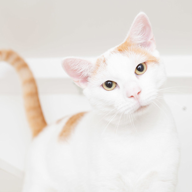 Photo of Bobbie