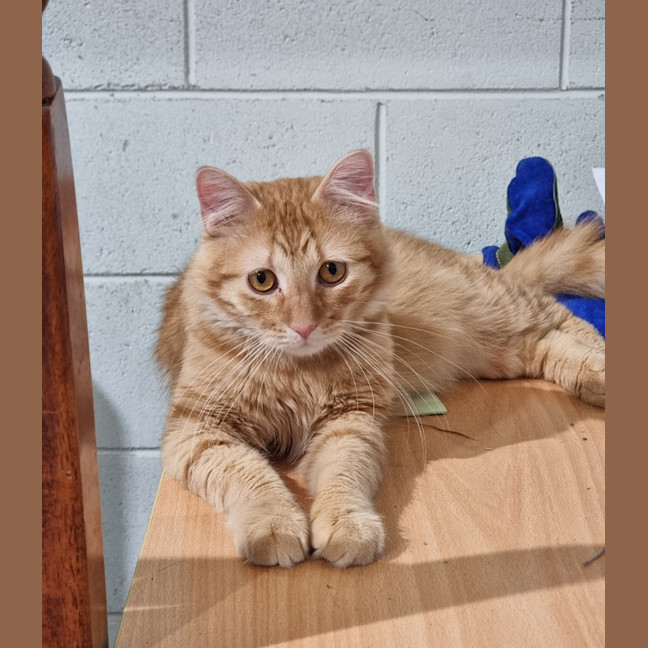Photo of Charlie