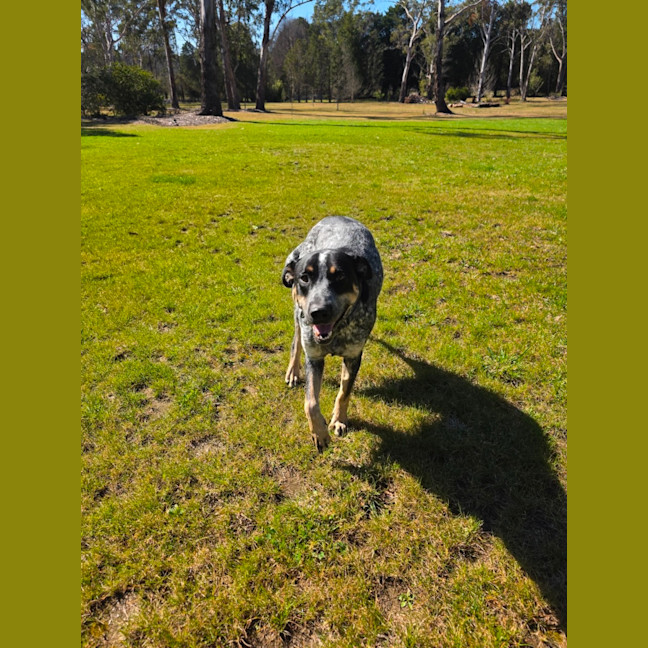 Photo of Paddy