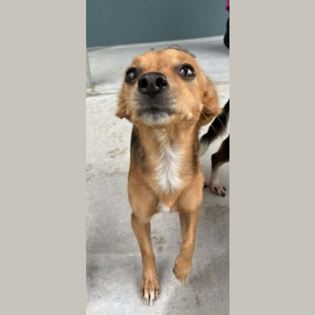 Photo of Tiny
