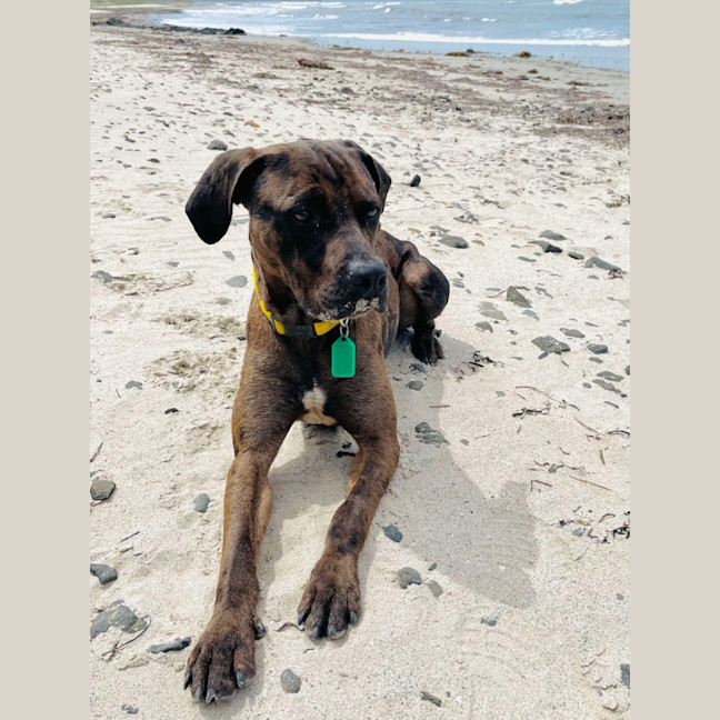 Photo of Uncle Fester