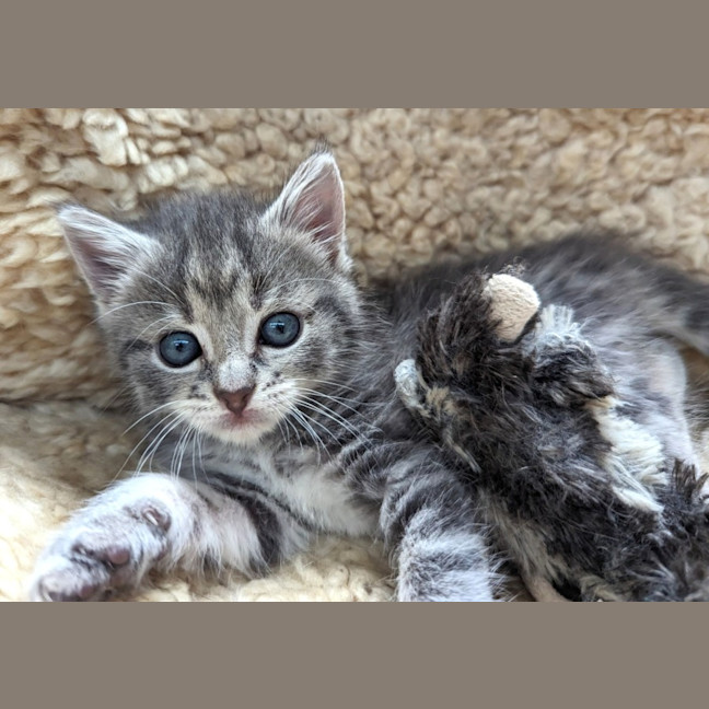 Photo of Hazel