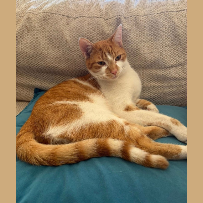 Photo of Jester 