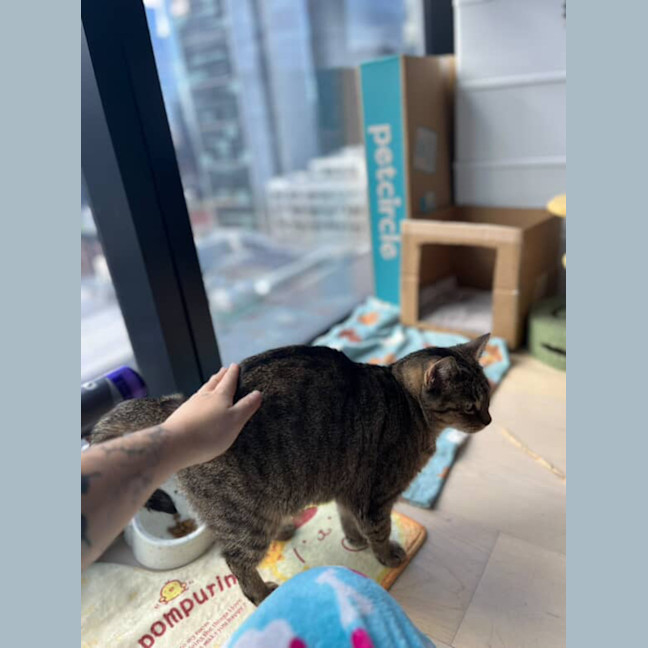 Photo of Cleo