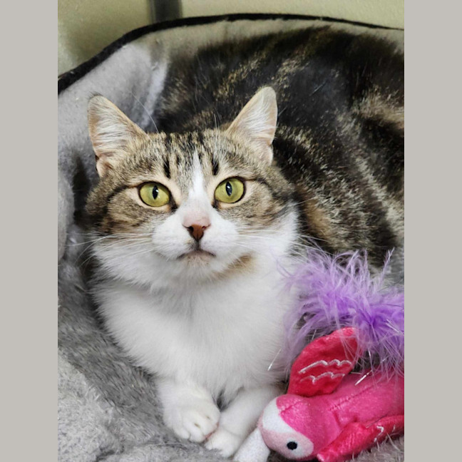 Photo of 🧸 Gemma 5509 🧸