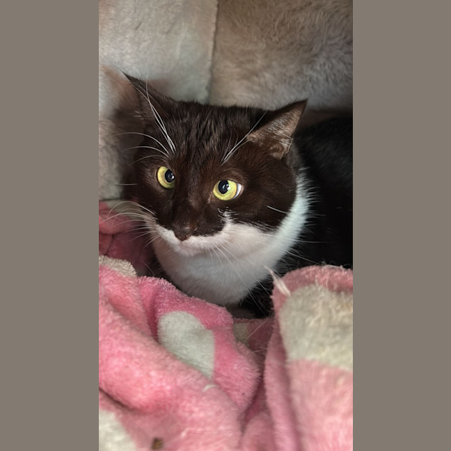 Photo of Maggie
