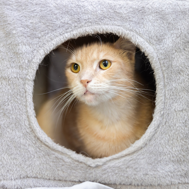 Photo of Tiggah