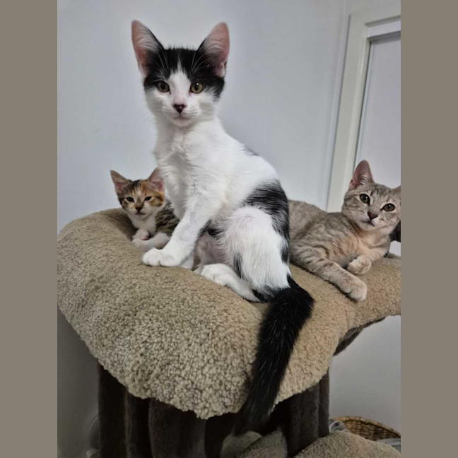 Photo of Charley🌷