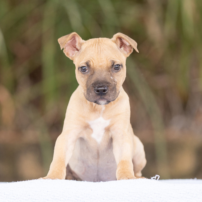 Photo of Roo