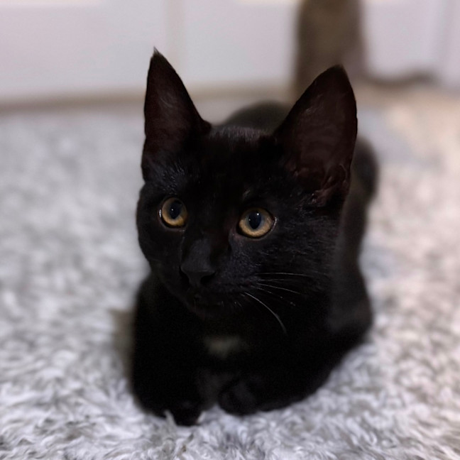 Photo of Banksy 🎨