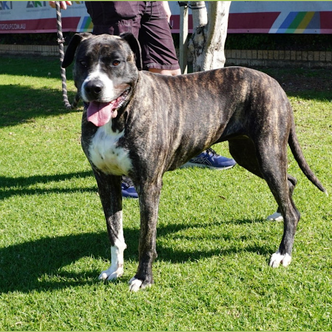 Photo of Dora
