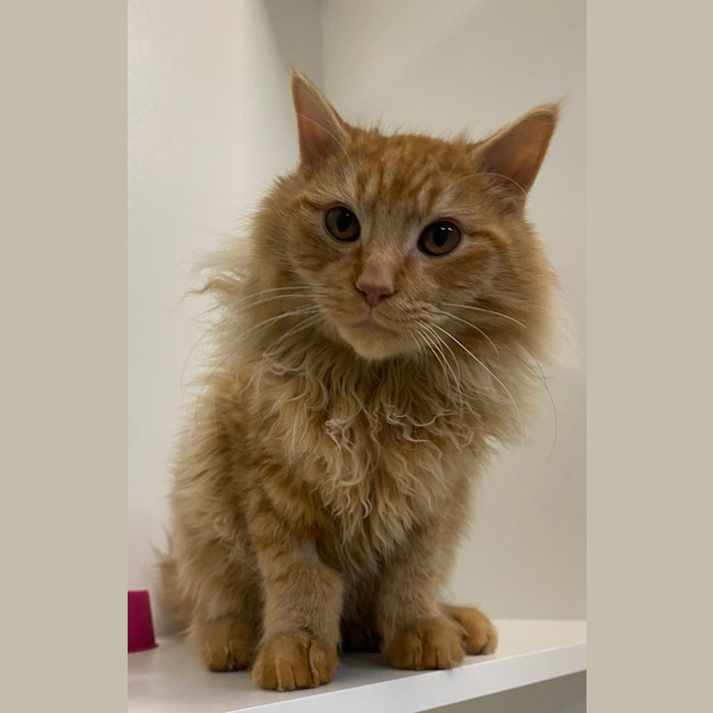 Photo of Tom