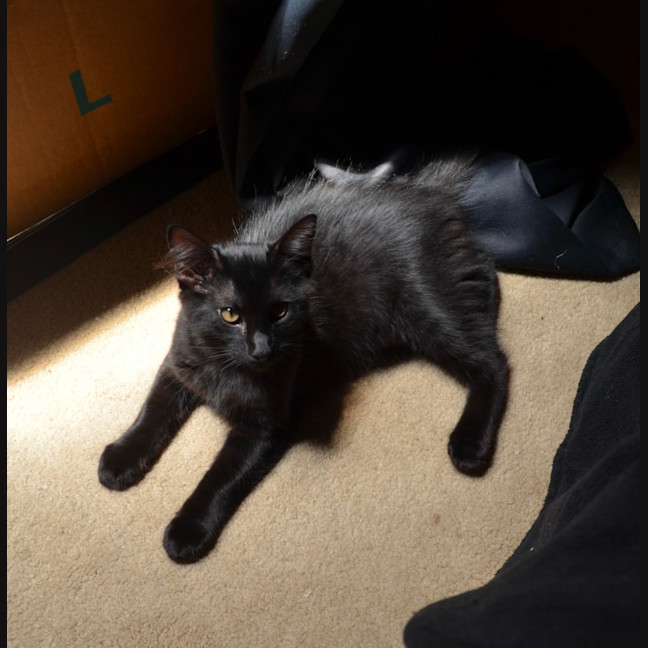 Photo of Sebastian