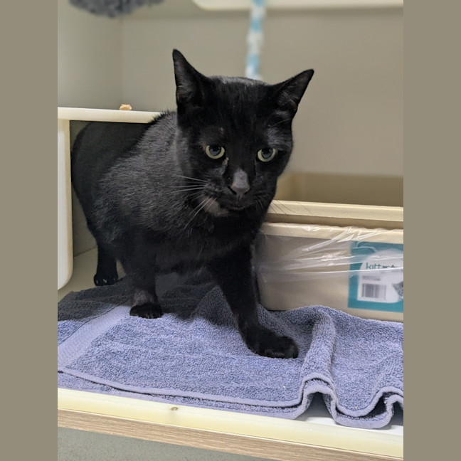 Photo of 🍤 Luca 6216 🍤