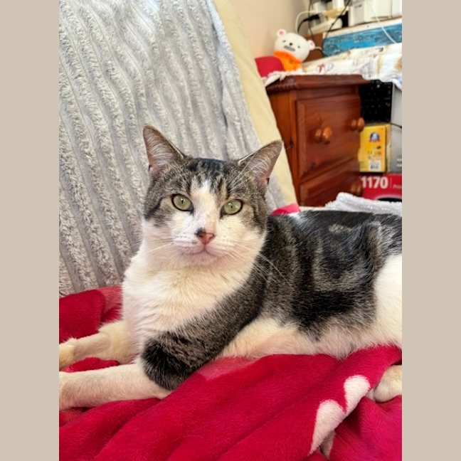 Photo of Asher