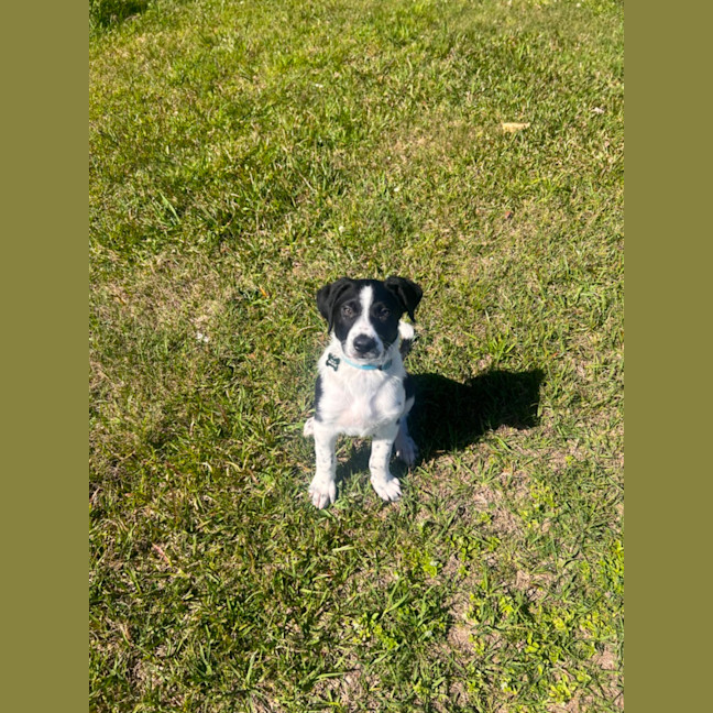 Photo of Lenny