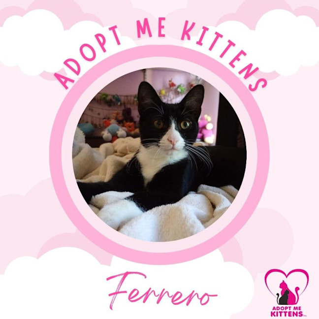 Photo of Ferrero