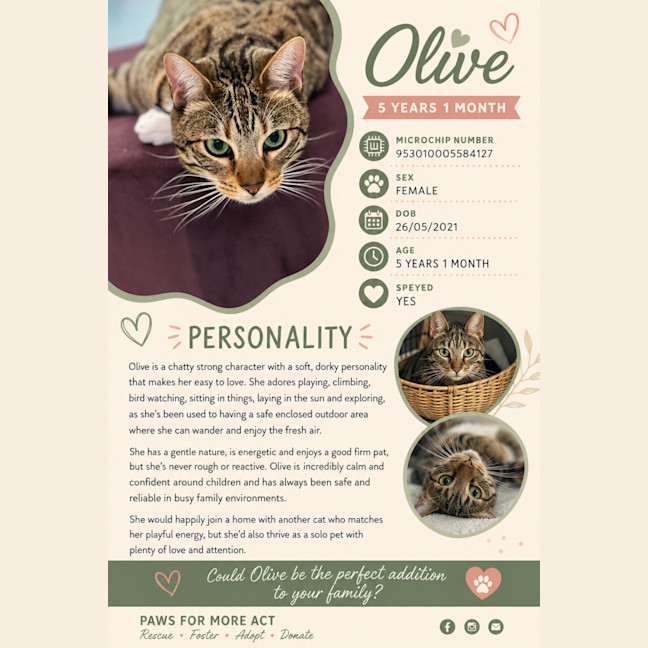 Photo of Olive
