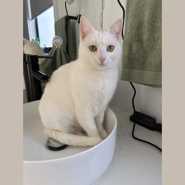 Photo of Yuki